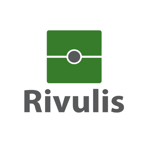 Rivulis