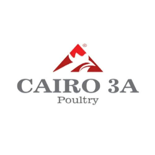 Cairo 3A